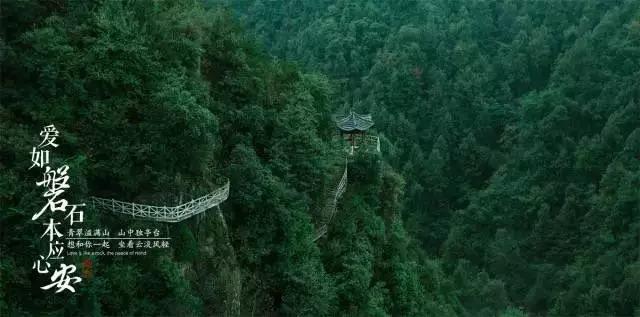 球球大作战下载最新版