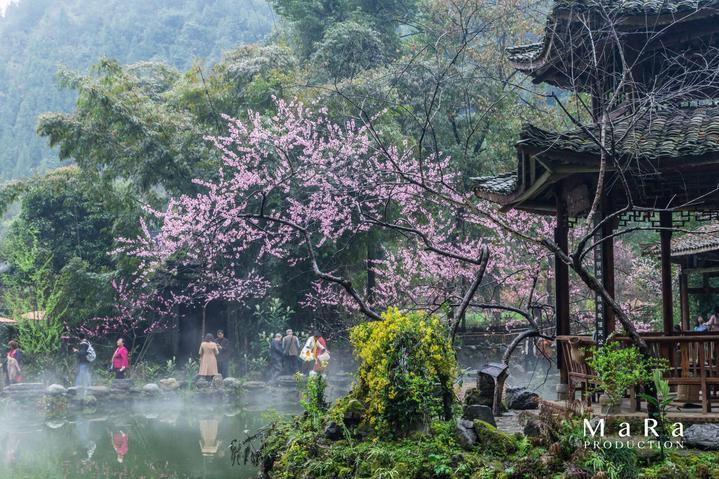 如何评价动画《鬼灭之刃》剧场版《无限列车》?能否超越众多日漫?-一站式有问必答平台